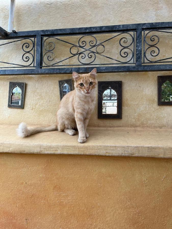 Riad Al Ibtikar Маракеш Екстериор снимка