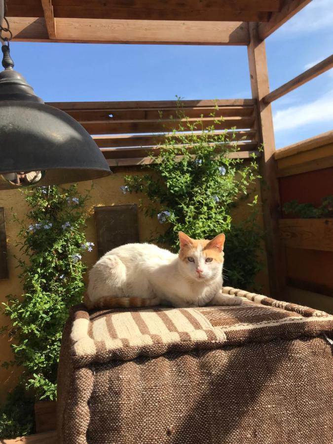 Riad Al Ibtikar Маракеш Екстериор снимка